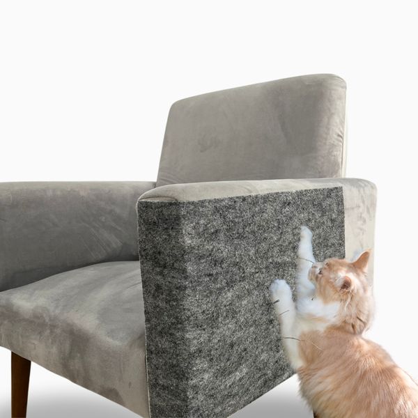 gato-arranhando-cadeira-arranhador-de-gato-adesivo-cinza